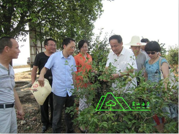 江西省油茶辦主任、工程師孫勇、省科技廳農(nóng)村工作處副處長(zhǎng)、副調(diào)研員尹伊等基地指導(dǎo)工作