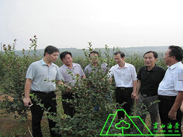 林業(yè)廳科技處處長(zhǎng)、省林科院黨委副書記研究院初來我油茶基地調(diào)研指導(dǎo)工作